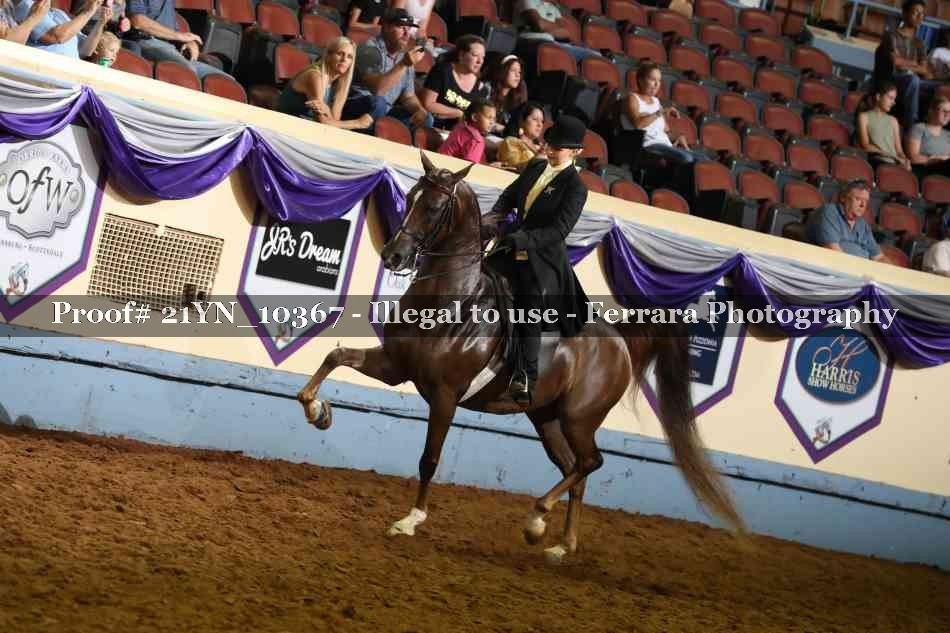 Proof 21YN_10367