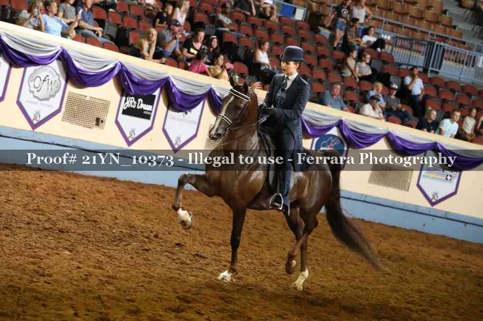 Proof 21YN_10373