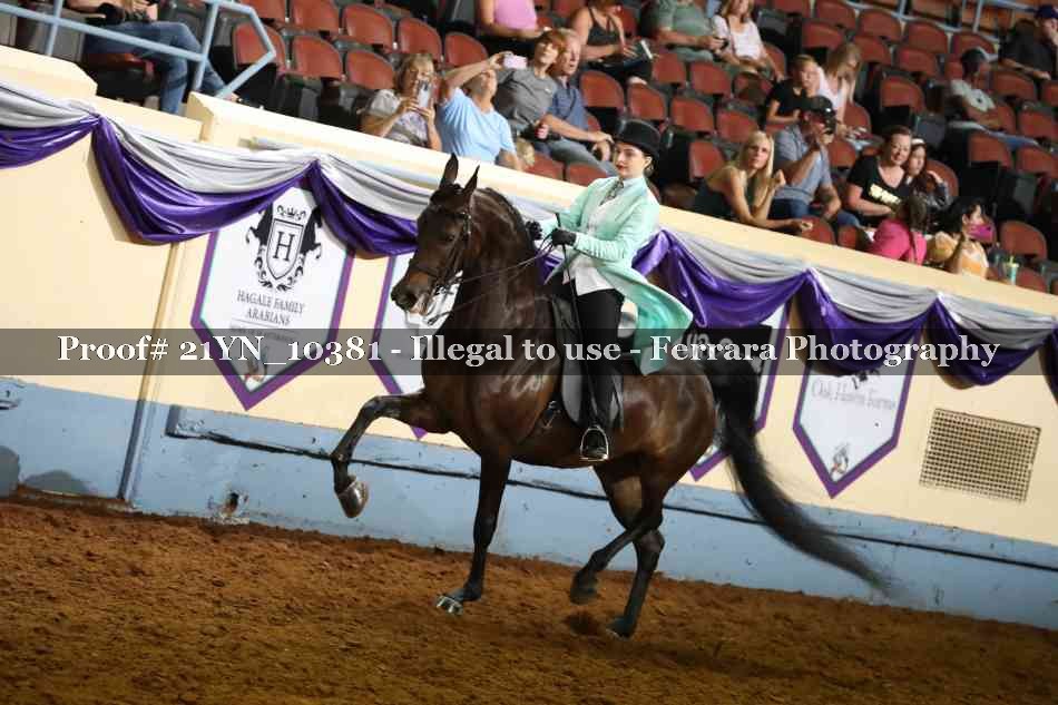 Proof 21YN_10381