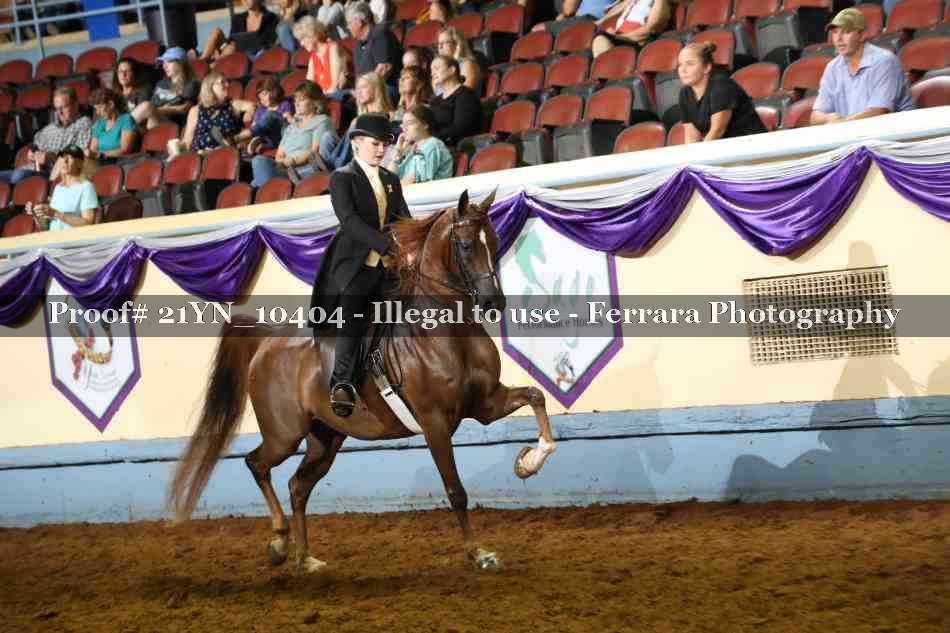 Proof 21YN_10404