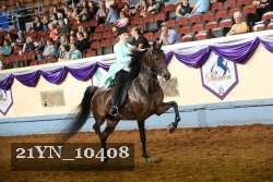 21YN_10408 proof