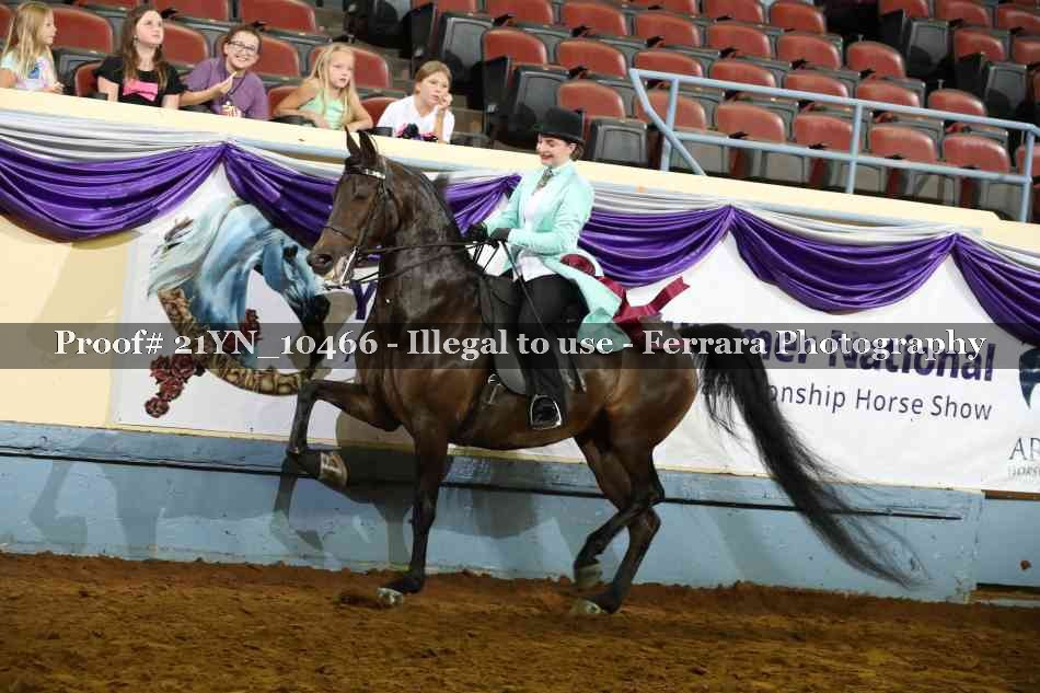 Proof 21YN_10466