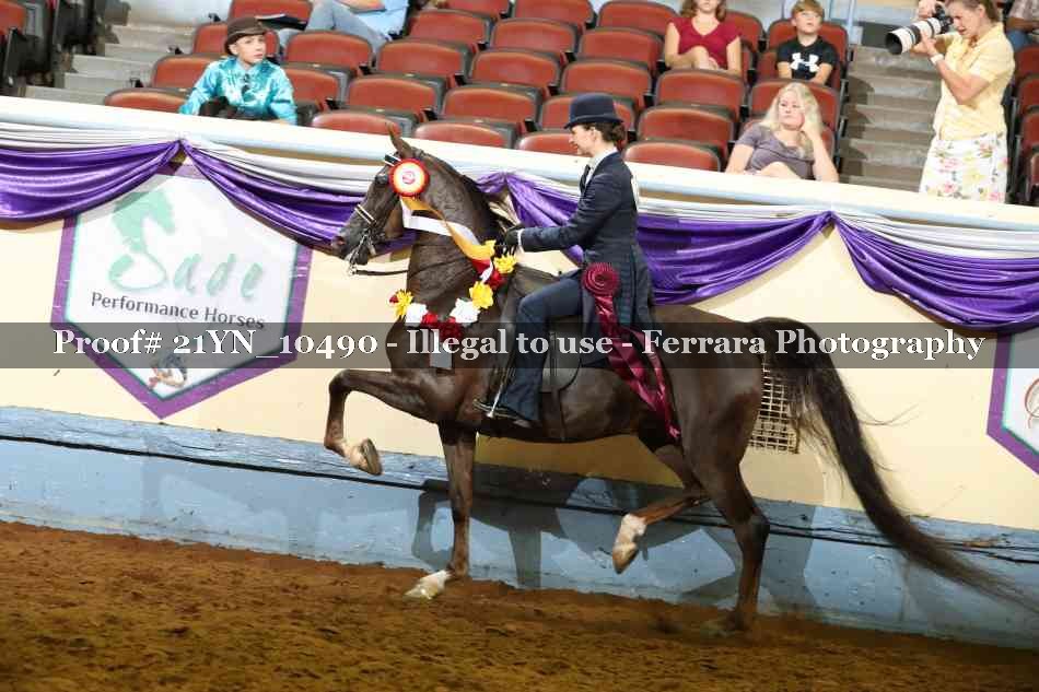 Proof 21YN_10490