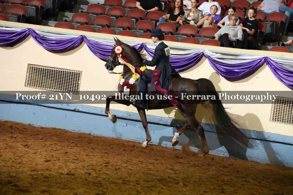 Proof 21YN_10492