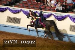 21YN_10492 proof