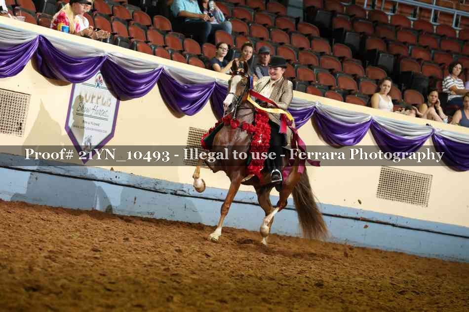 Proof 21YN_10493