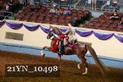 21YN_10498 proof