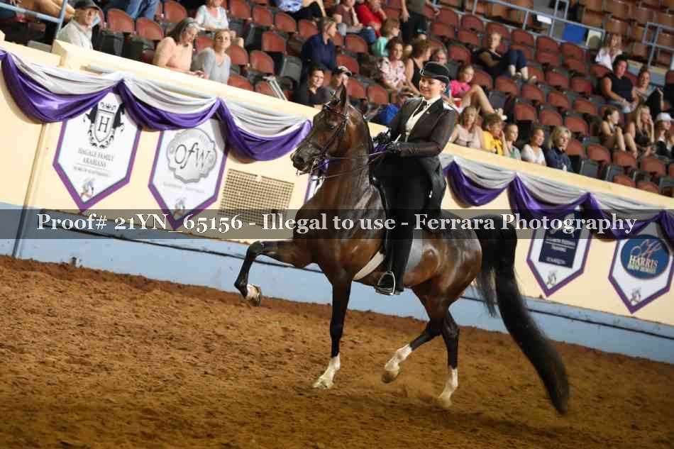 Proof 21YN_65156