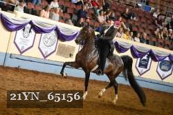 21YN_65156 proof