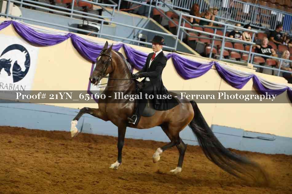 Proof 21YN_65160