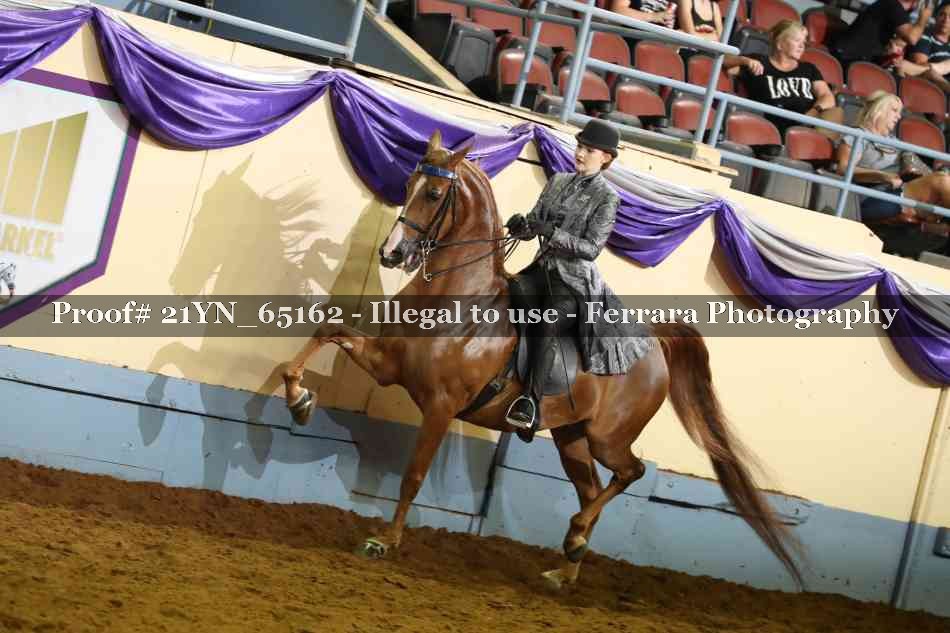 Proof 21YN_65162