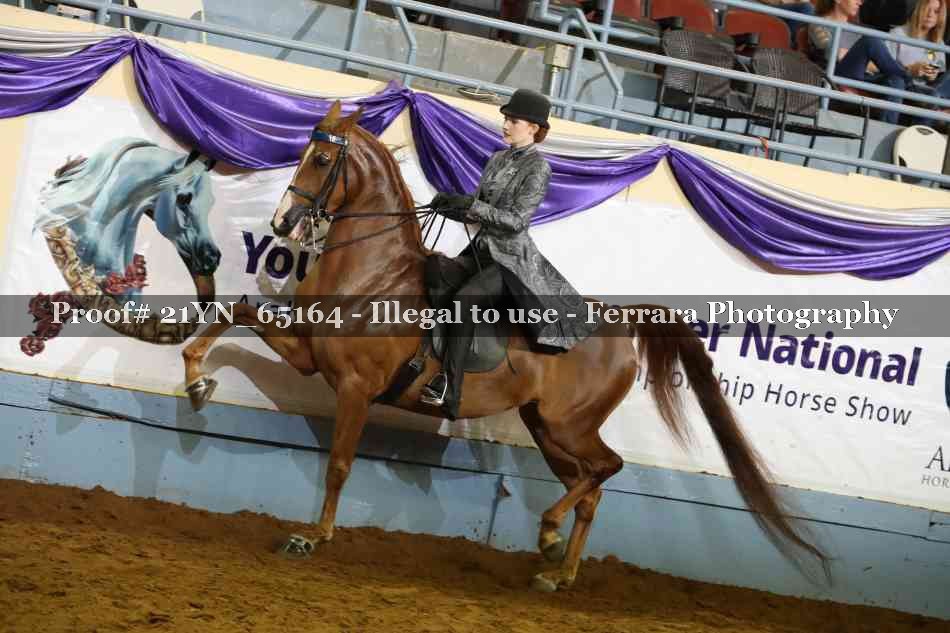 Proof 21YN_65164
