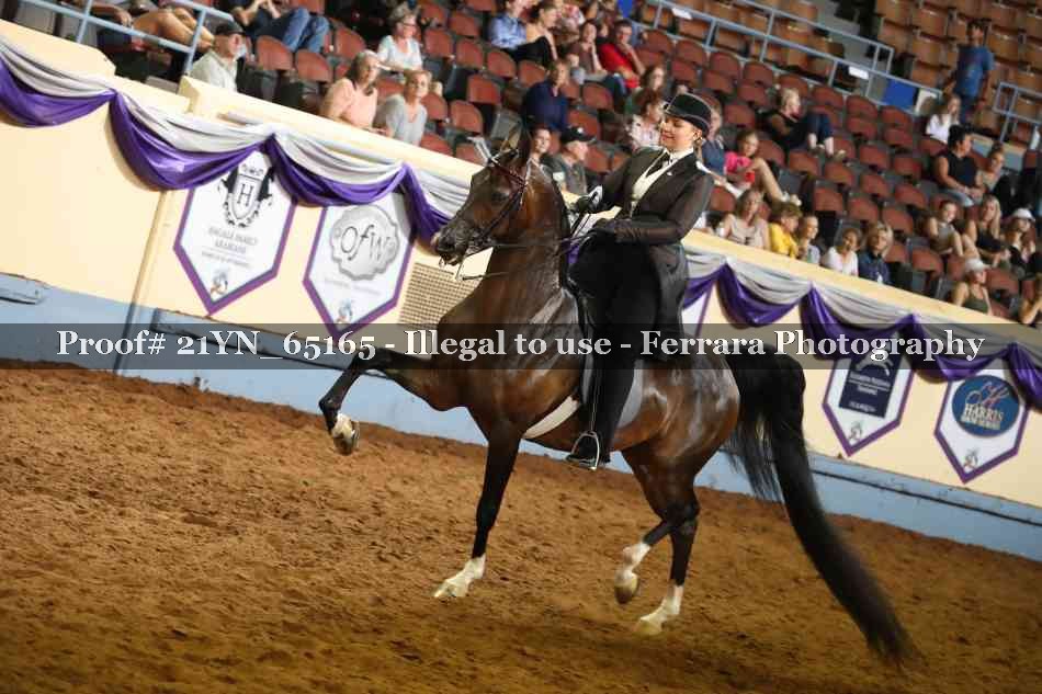 Proof 21YN_65165