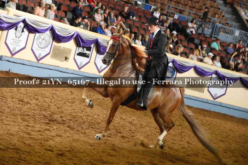 Proof 21YN_65167