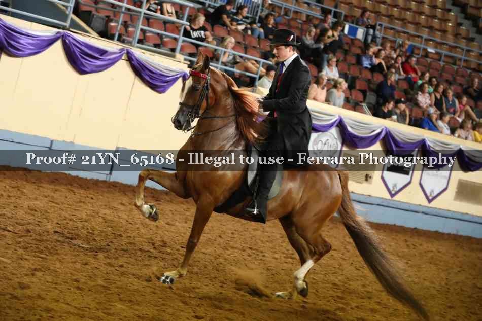 Proof 21YN_65168