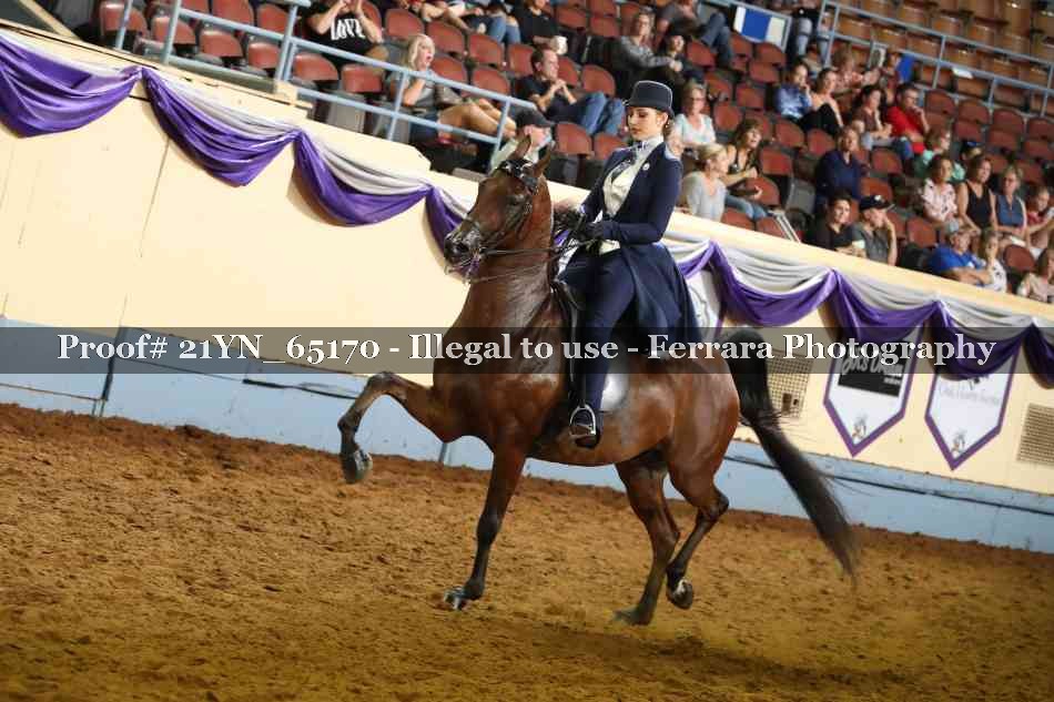 Proof 21YN_65170