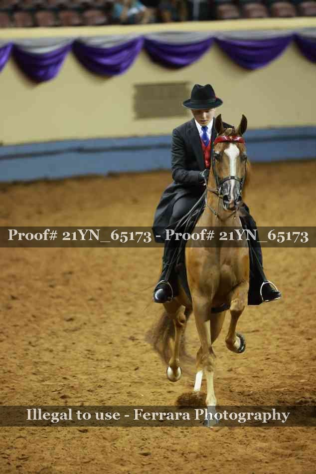 Proof 21YN_65173