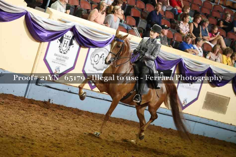 Proof 21YN_65179