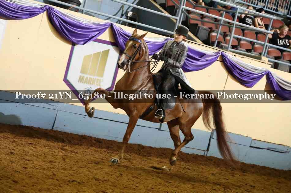 Proof 21YN_65180