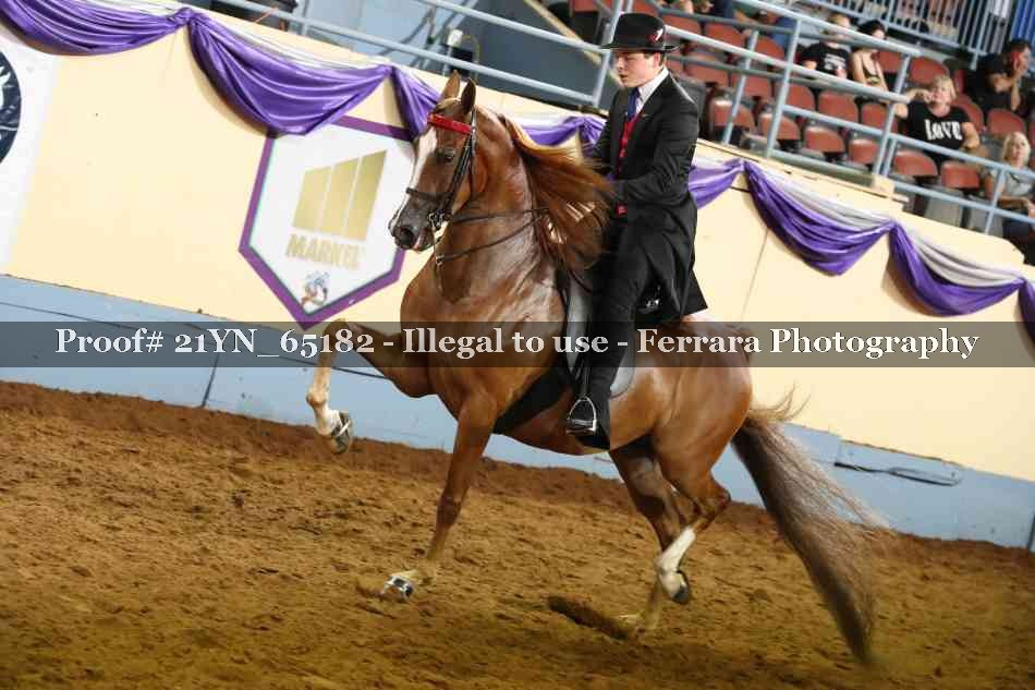 Proof 21YN_65182