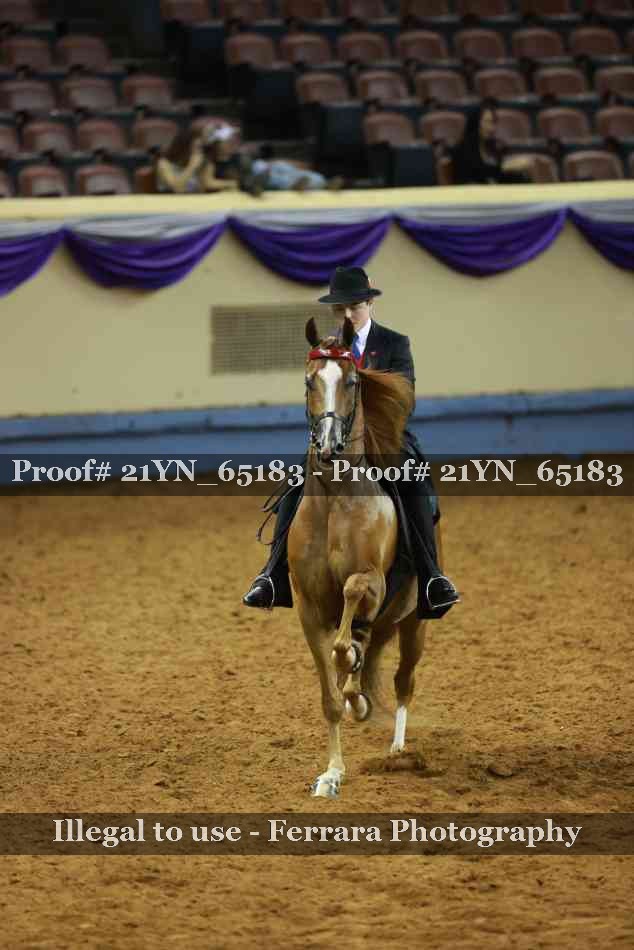 Proof 21YN_65183