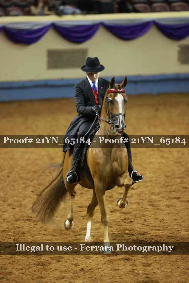 Proof 21YN_65184