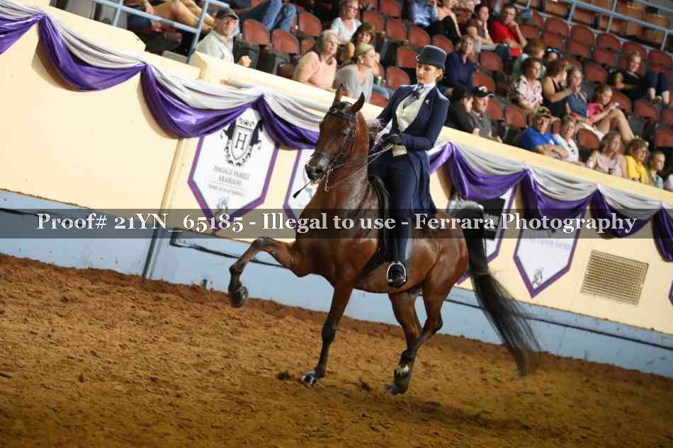 Proof 21YN_65185