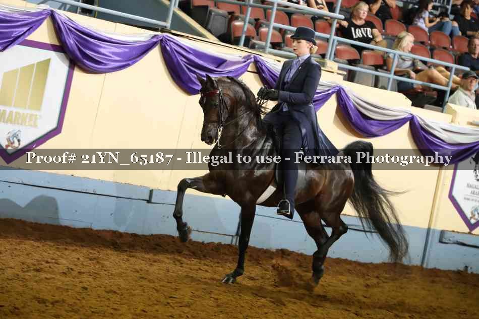 Proof 21YN_65187