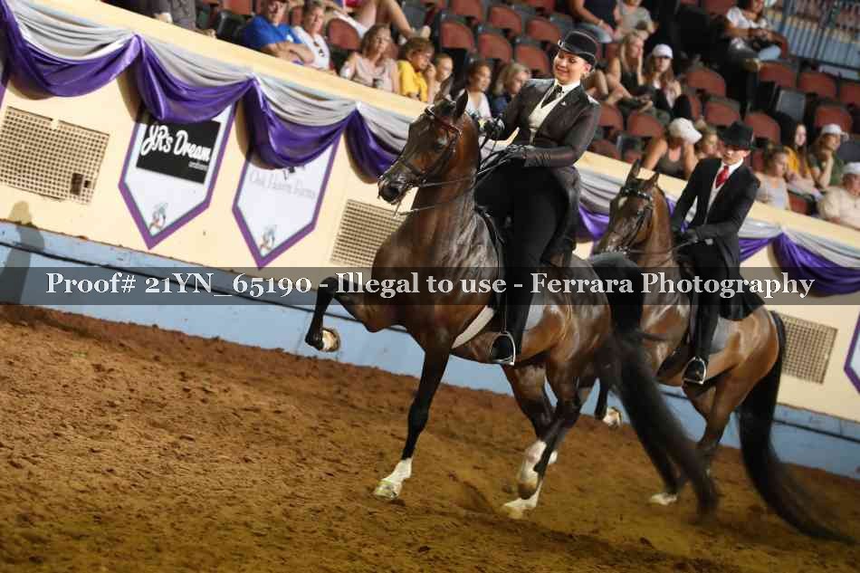 Proof 21YN_65190