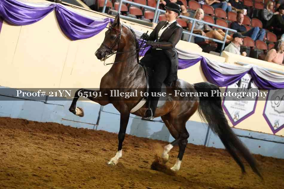 Proof 21YN_65191