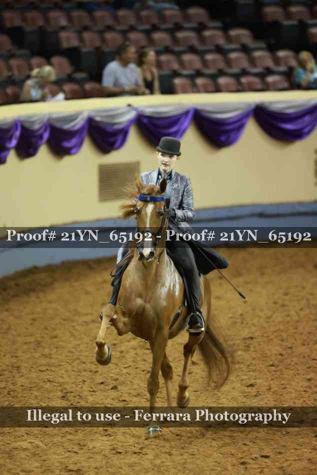 Proof 21YN_65192