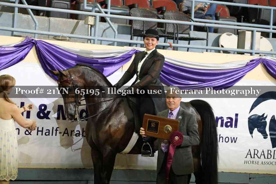 Proof 21YN_65195