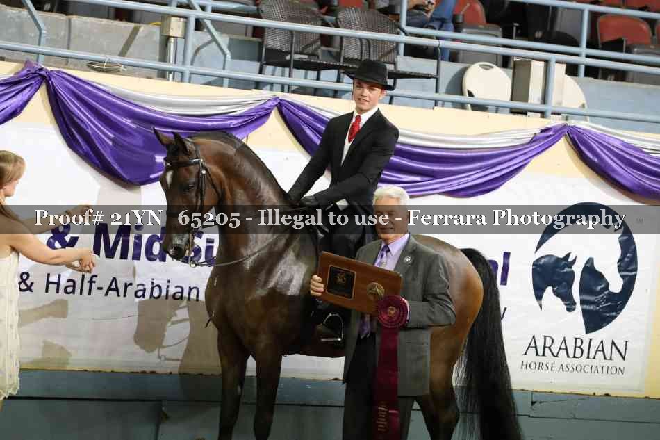 Proof 21YN_65205