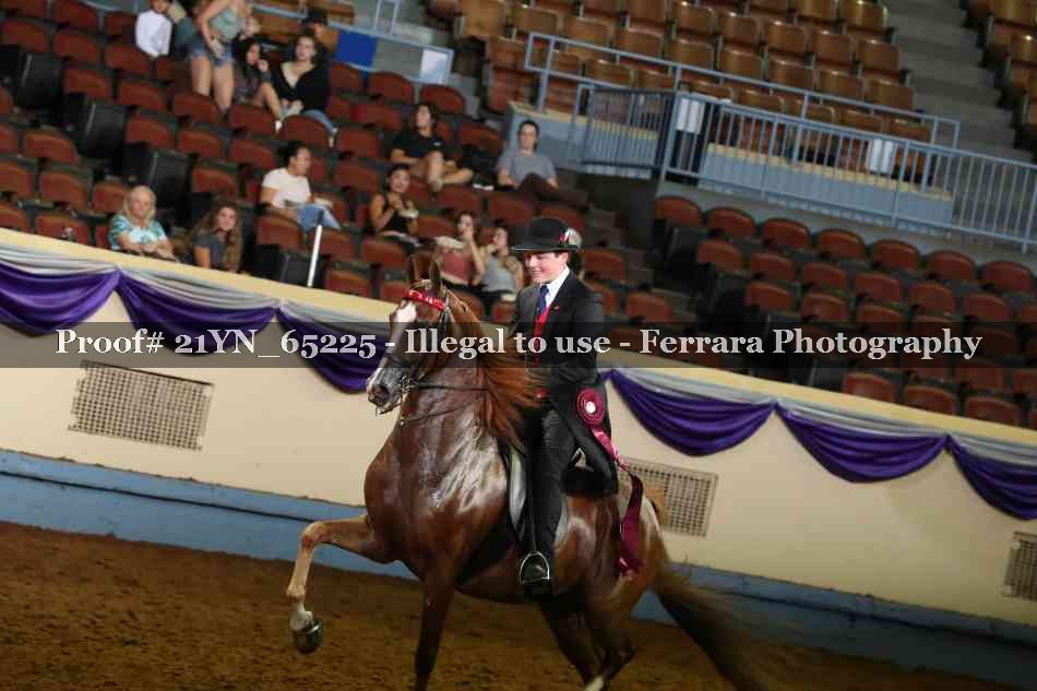 Proof 21YN_65225