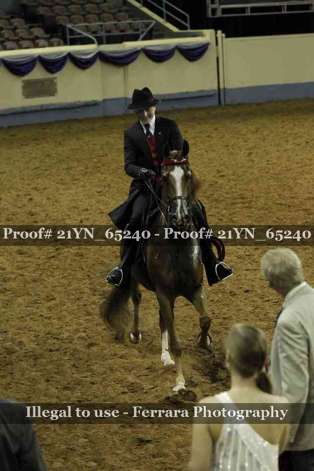 Proof 21YN_65240
