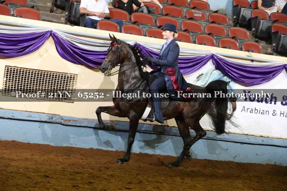 Proof 21YN_65252