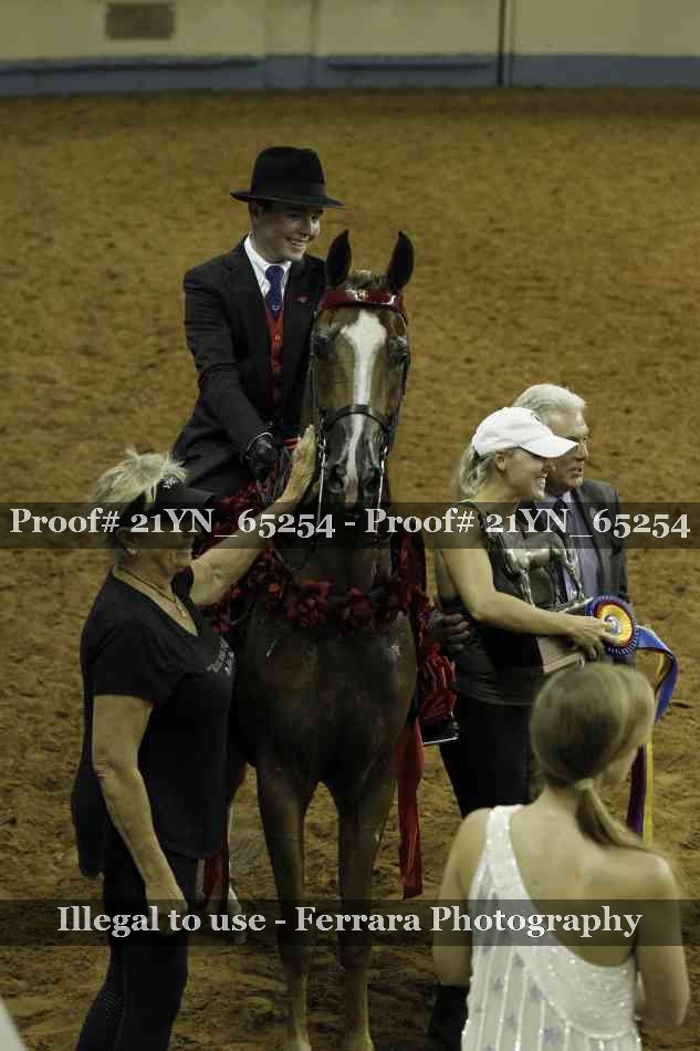 Proof 21YN_65254