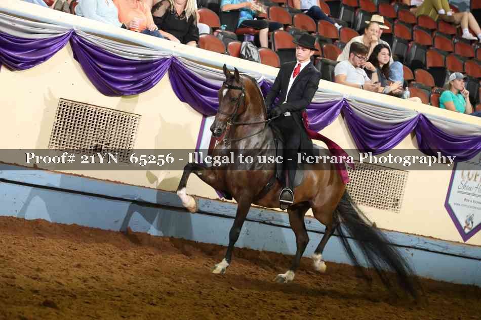 Proof 21YN_65256