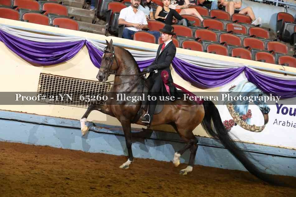 Proof 21YN_65260