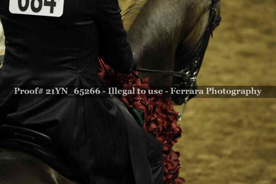 Proof 21YN_65266