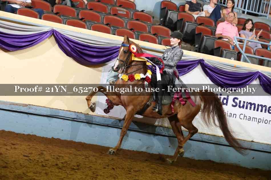 Proof 21YN_65270