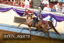 21YN_65272 proof