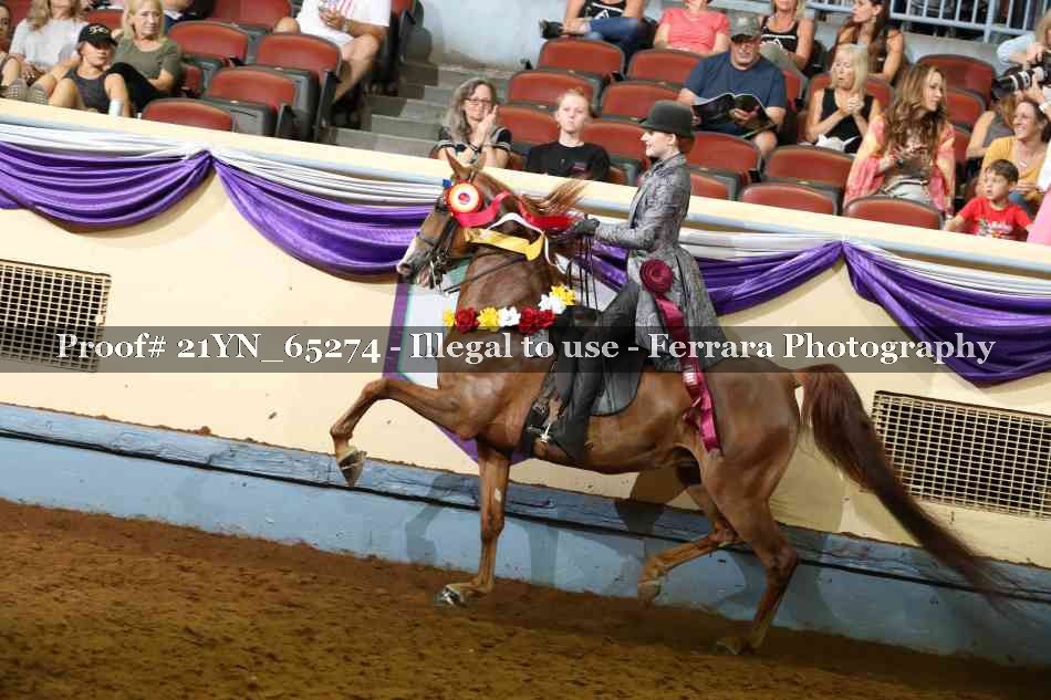 Proof 21YN_65274