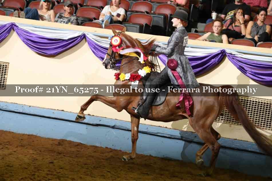 Proof 21YN_65275