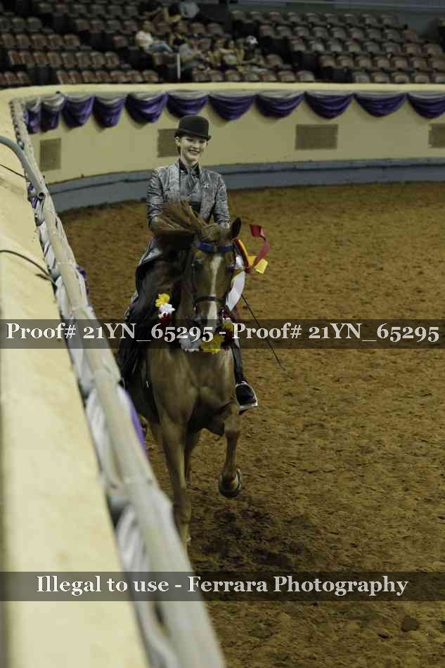 Proof 21YN_65295