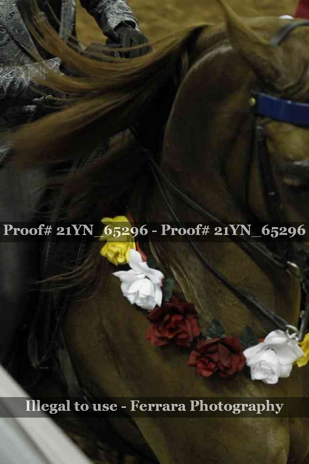 Proof 21YN_65296