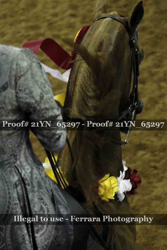 Proof 21YN_65297
