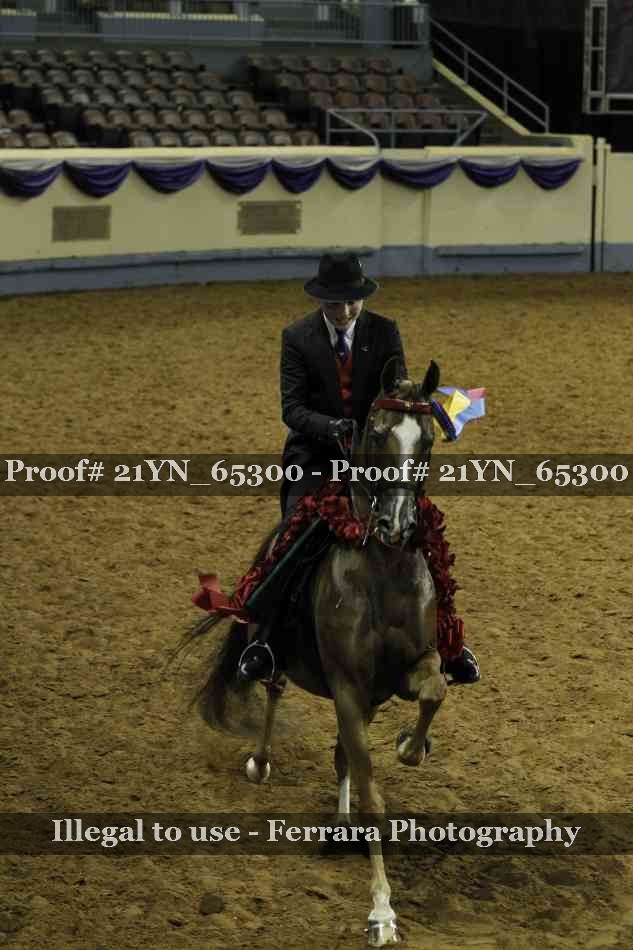 Proof 21YN_65300