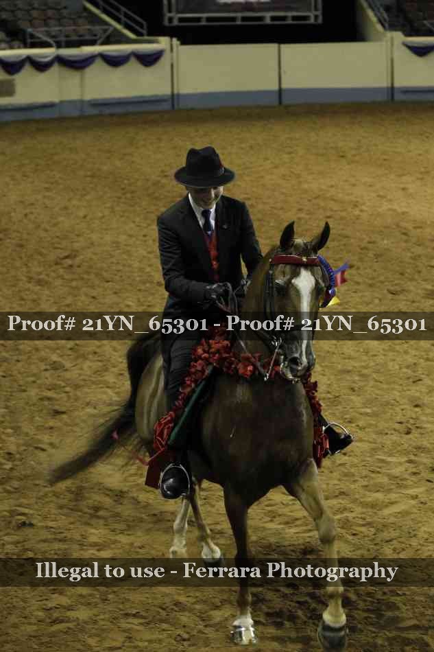 Proof 21YN_65301