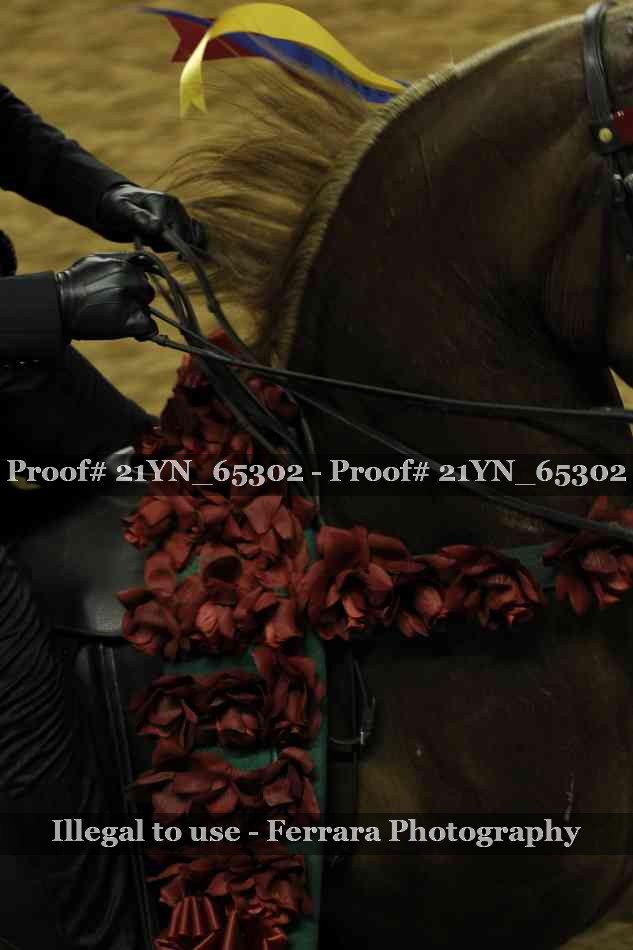 Proof 21YN_65302